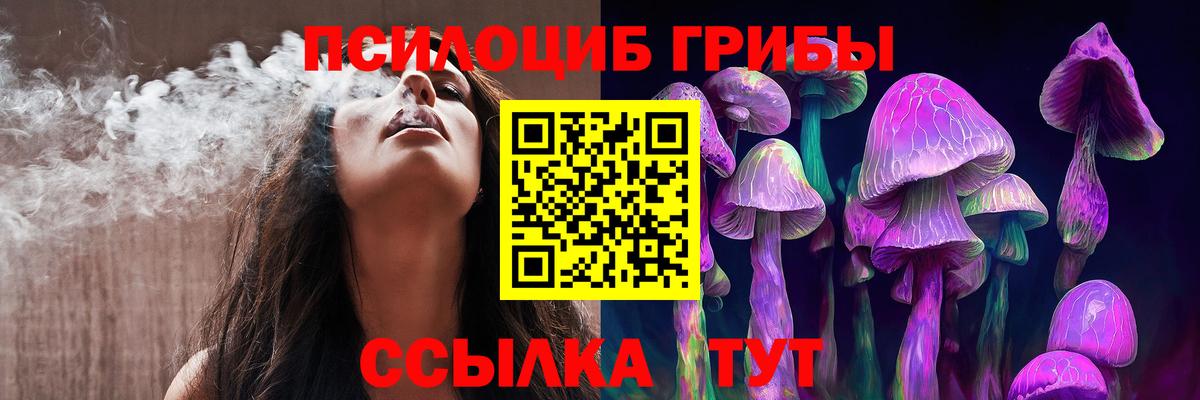 Галлюциногенные грибы прущие грибы  как найти наркотики  Вход с VPN  Острогожск  Псилоцибиновые грибы Psilocybe 