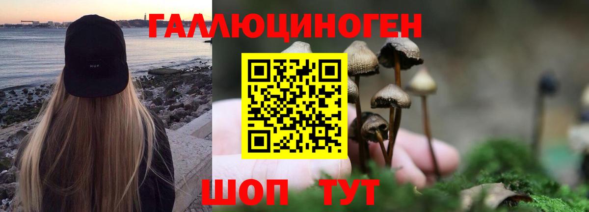 Псилоцибиновые грибы MAGIC MUSHROOMS Острогожск